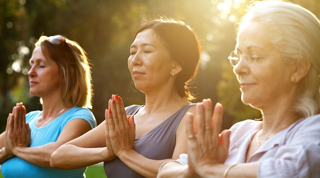 Why should we meditate?